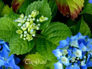 10a
